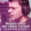 Sanyog Anand - Shiv Tandav Stotram - Single